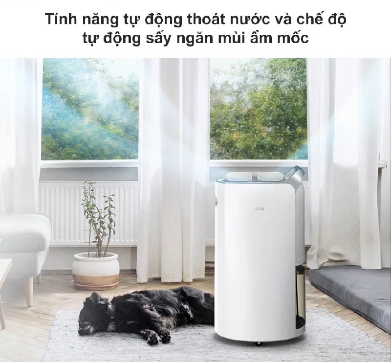 Máy hút ẩm LG Dual Inverter 16L - Tự động thoát nước